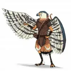 Aarakocra Ranger